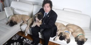 Javier Milei 5 cloned