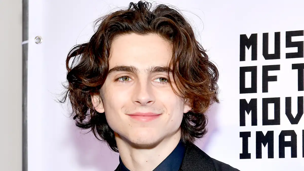 Timothée Chalamet Biography, Age, Girlfriend, Family, Career, Net Worth